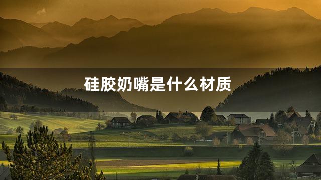 硅胶奶嘴是什么材质