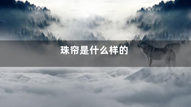 珠帘是什么样的