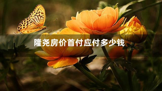 隆尧房价首付应付多少钱