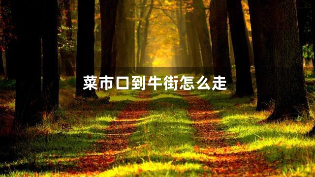 菜市口到牛街怎么走