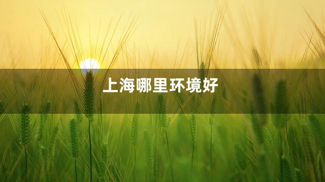上海哪里环境好