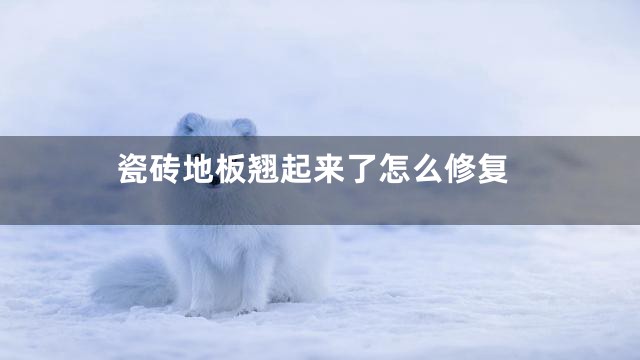 瓷砖地板翘起来了怎么修复