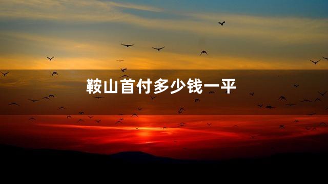 鞍山首付多少钱一平