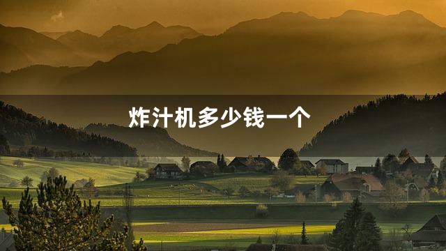 炸汁机多少钱一个