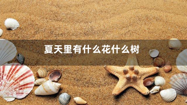 夏天里有什么花什么树
