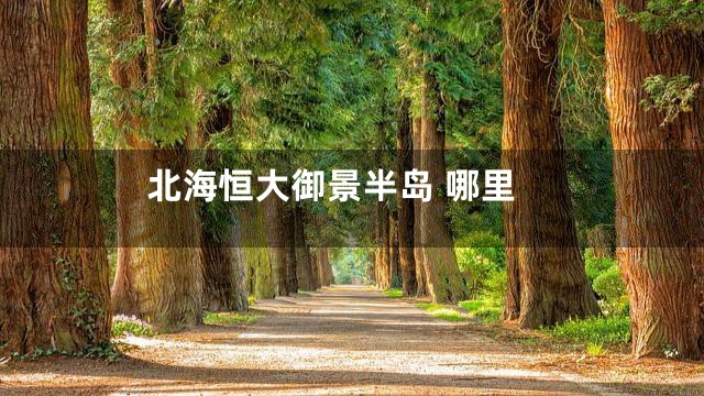 北海恒大御景半岛 哪里