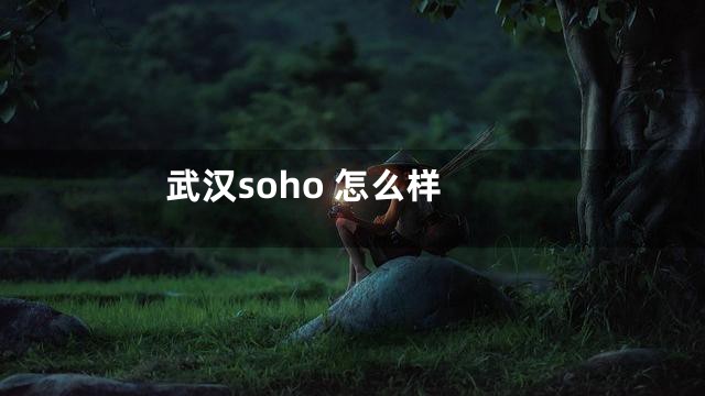 武汉soho 怎么样