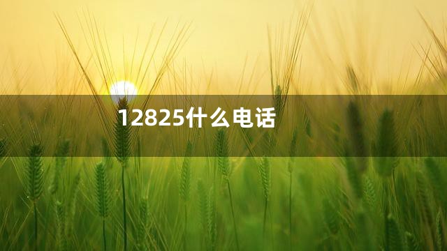 12825什么电话