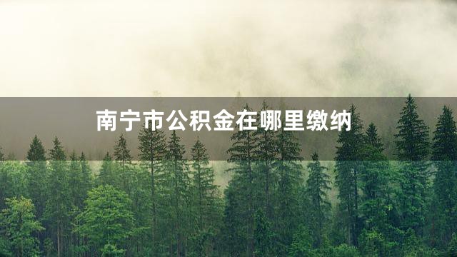 南宁市公积金在哪里缴纳