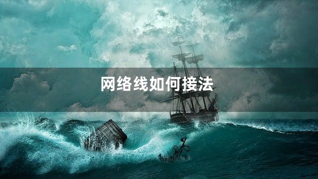 网络线如何接法