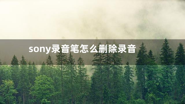 sony录音笔怎么删除录音
