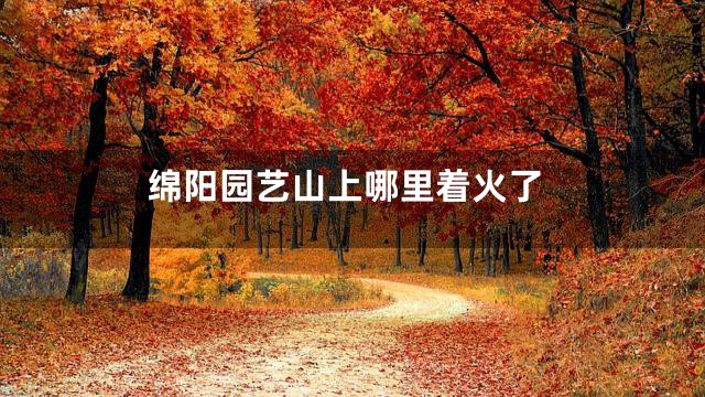 绵阳园艺山上哪里着火了