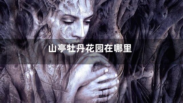 山亭牡丹花园在哪里