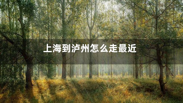 上海到泸州怎么走最近