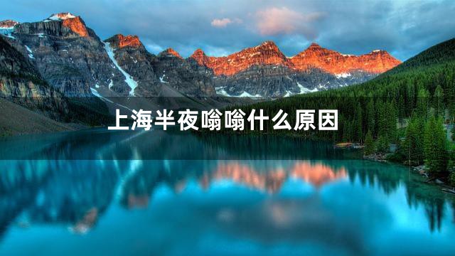 上海半夜嗡嗡什么原因