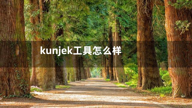 kunjek工具怎么样
