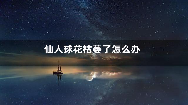 仙人球花枯萎了怎么办
