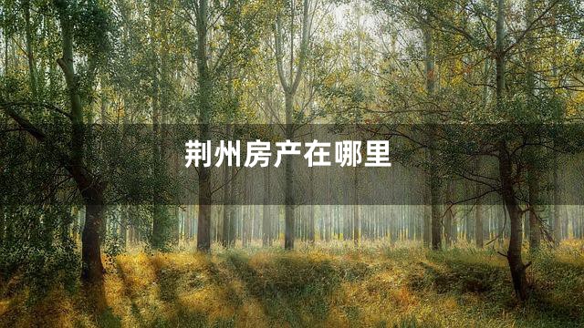 荆州房产在哪里