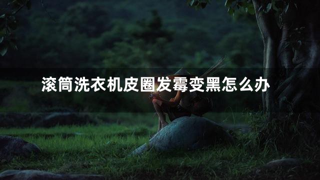 滚筒洗衣机皮圈发霉变黑怎么办