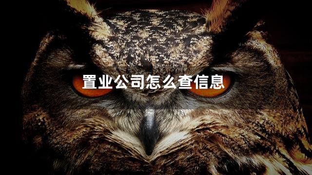 置业公司怎么查信息