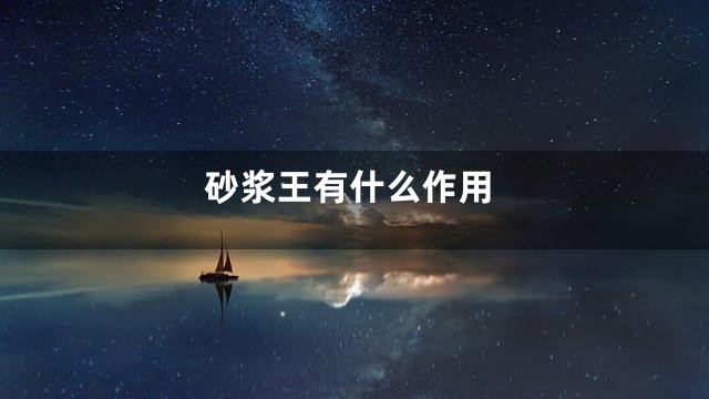 砂浆王有什么作用