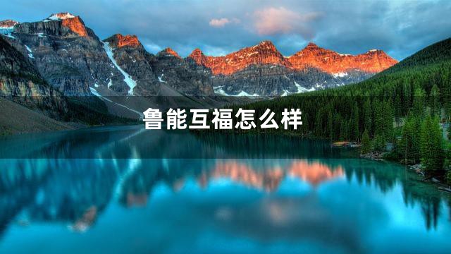 鲁能互福怎么样