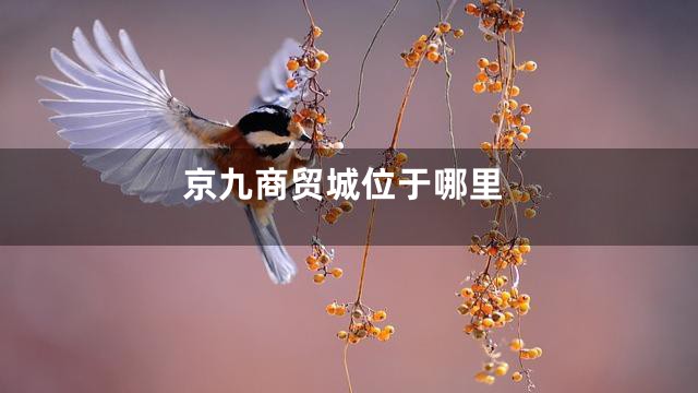 京九商贸城位于哪里