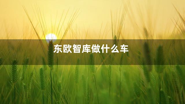 东欧智库做什么车
