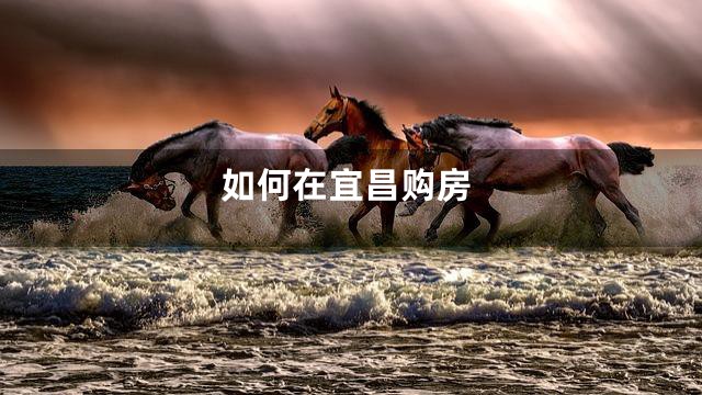 如何在宜昌购房