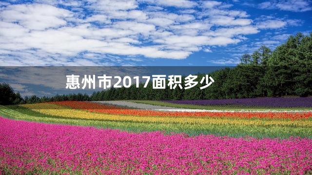 惠州市2017面积多少