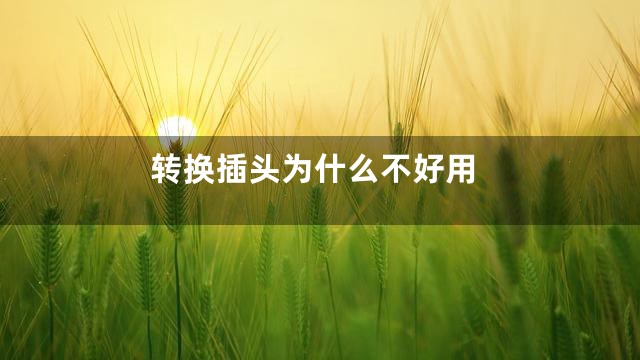 转换插头为什么不好用
