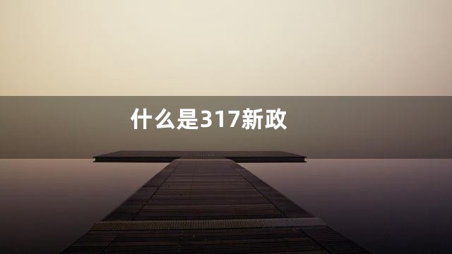 什么是317新政