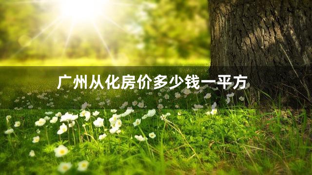广州从化房价多少钱一平方