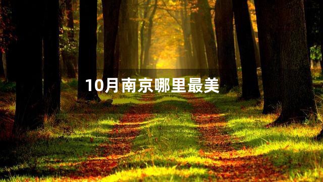 10月南京哪里最美
