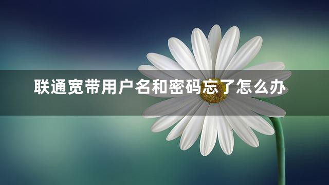 联通宽带用户名和密码忘了怎么办