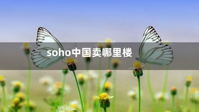 soho中国卖哪里楼