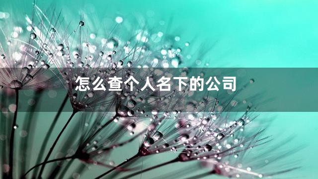 怎么查个人名下的公司
