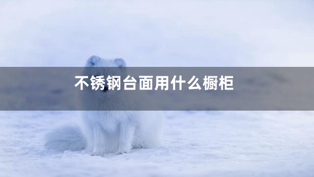 不锈钢台面用什么橱柜