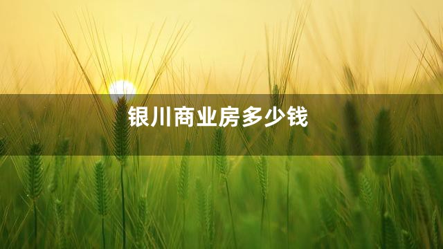 银川商业房多少钱