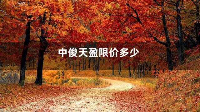 中俊天盈限价多少