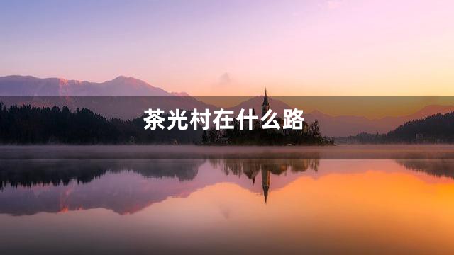 茶光村在什么路