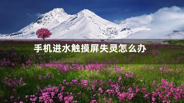 手机进水触摸屏失灵怎么办