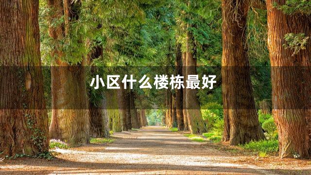 小区什么楼栋最好