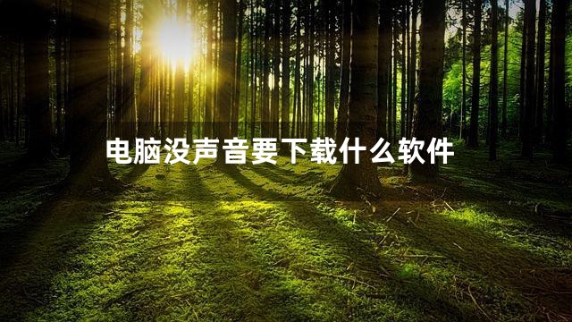 电脑没声音要下载什么软件