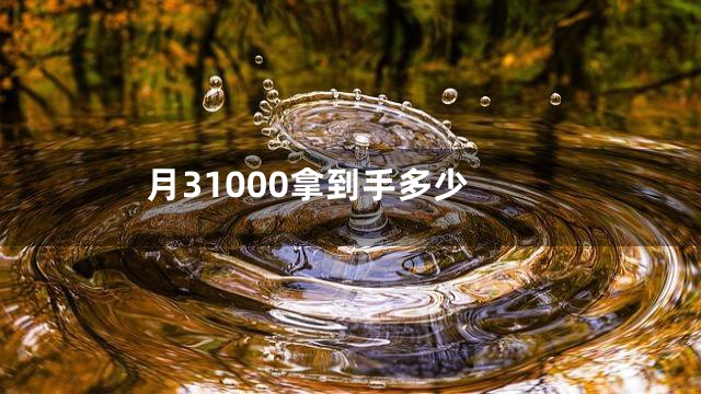 月31000拿到手多少