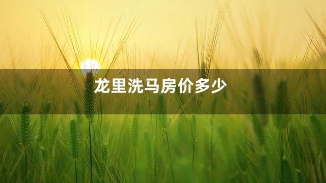 龙里洗马房价多少