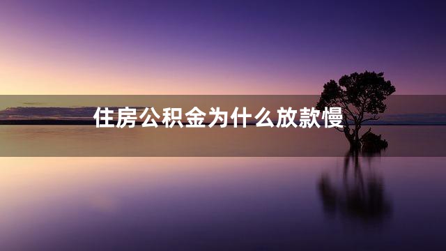 住房公积金为什么放款慢