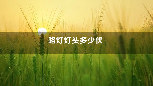 路灯灯头多少伏