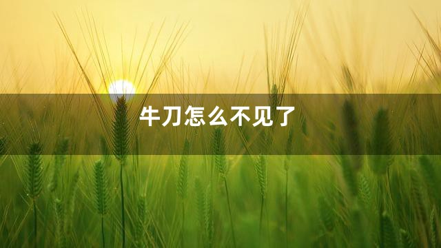 牛刀怎么不见了