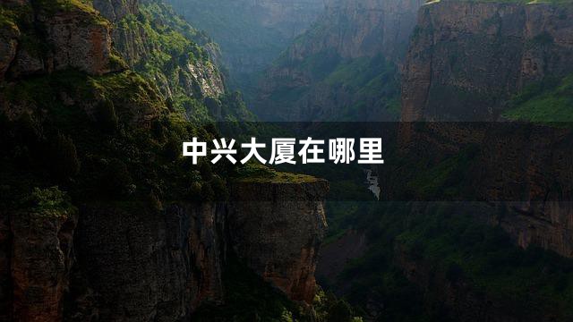 中兴大厦在哪里